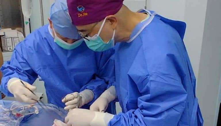 الصورة الرئيسية للمقال