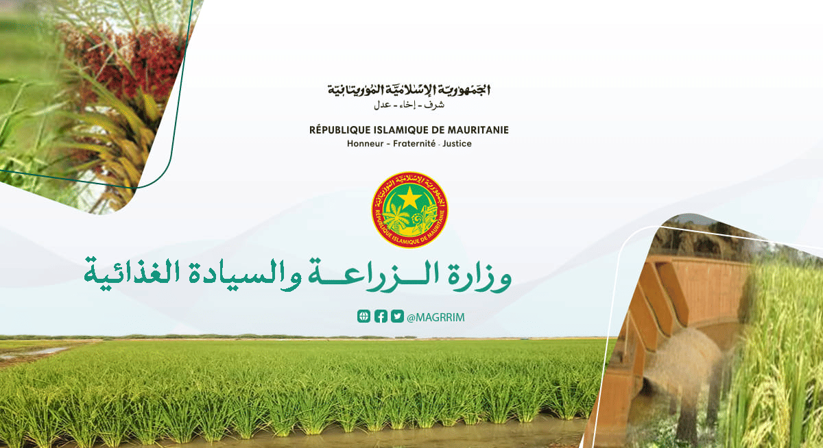 صورة المقال