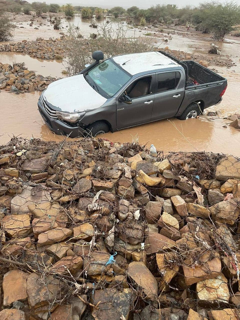 الصورة الرئيسية للمقال