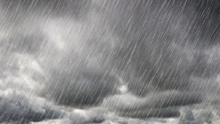 الصورة الرئيسية للمقال