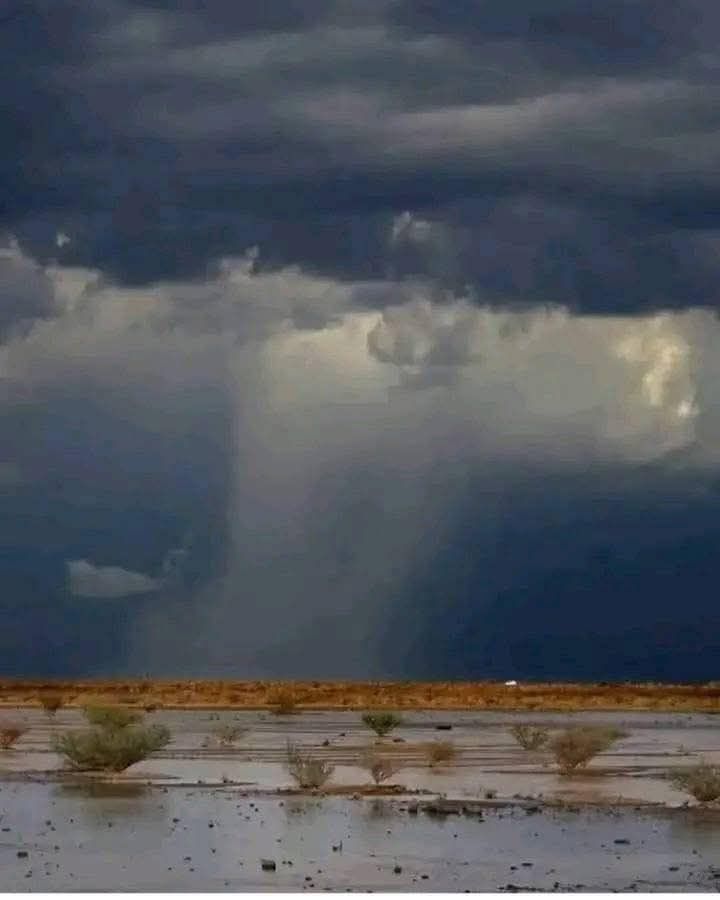 صورة المقال