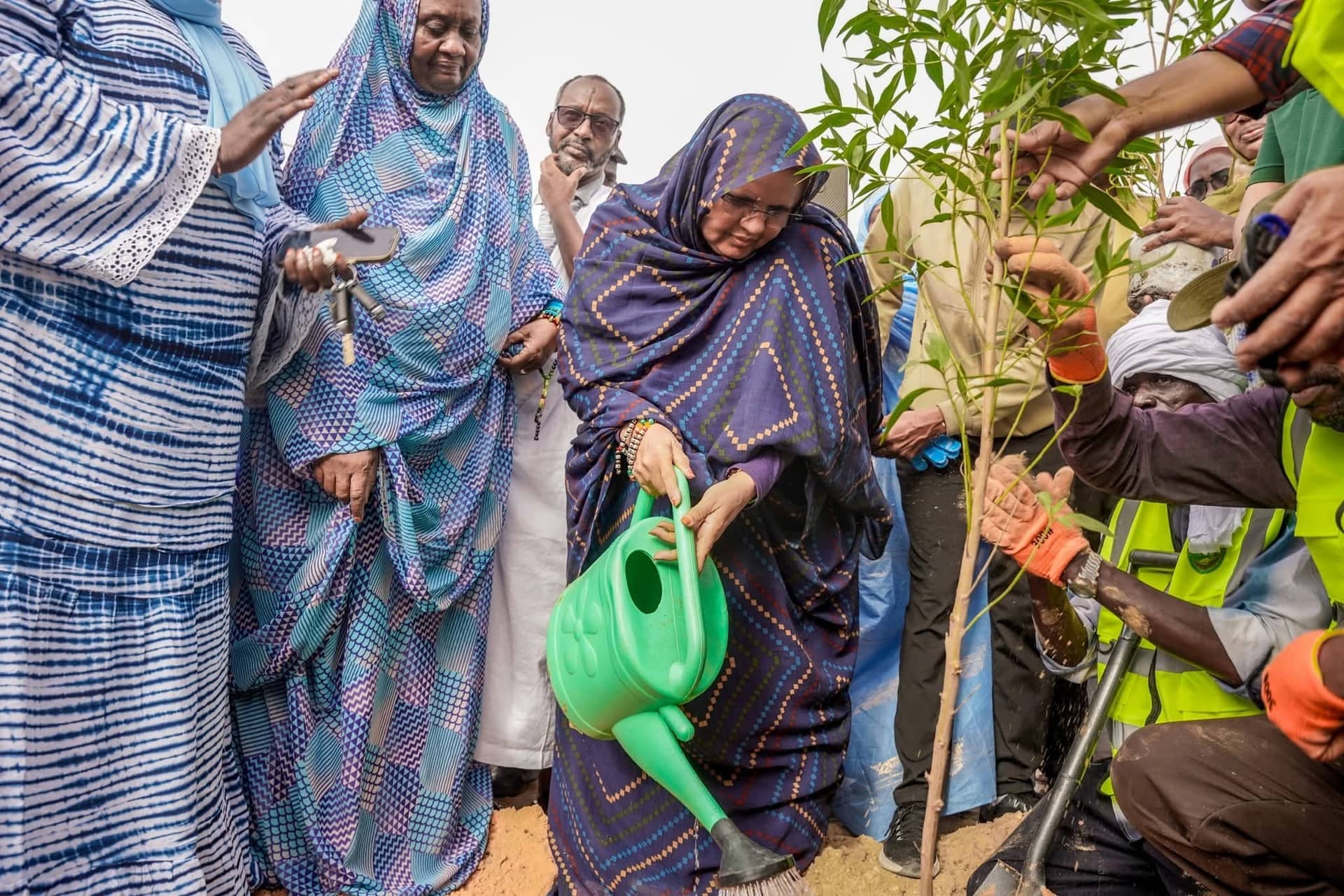 الصورة الرئيسية للمقال