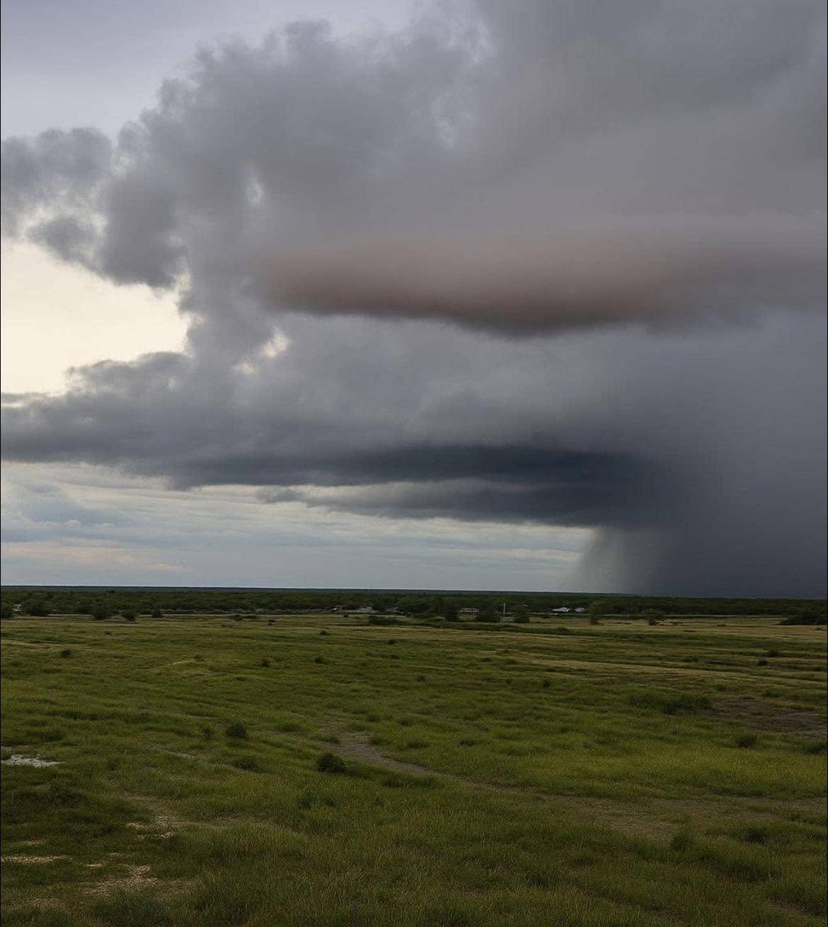 الصورة الرئيسية للمقال