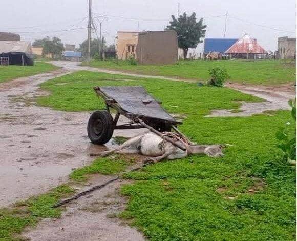 الصورة الرئيسية للمقال