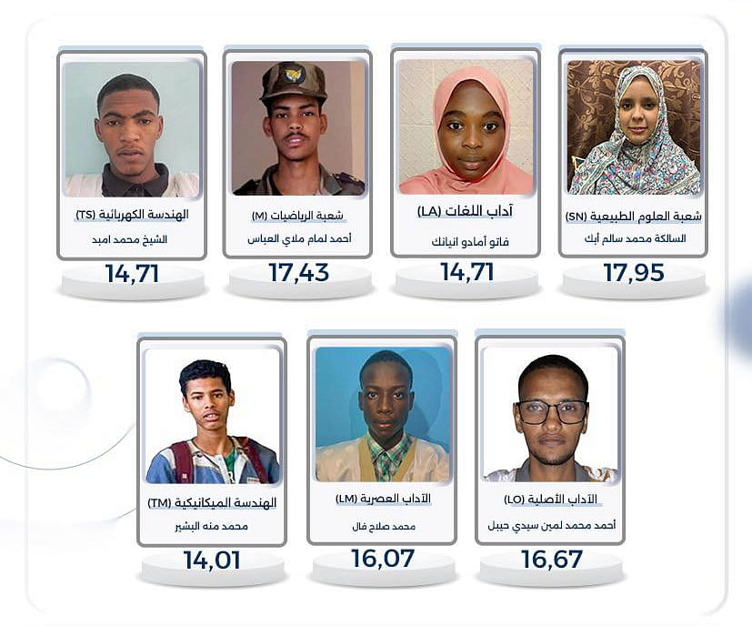 صورة المقال