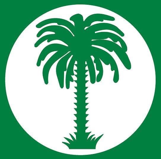 صورة المقال