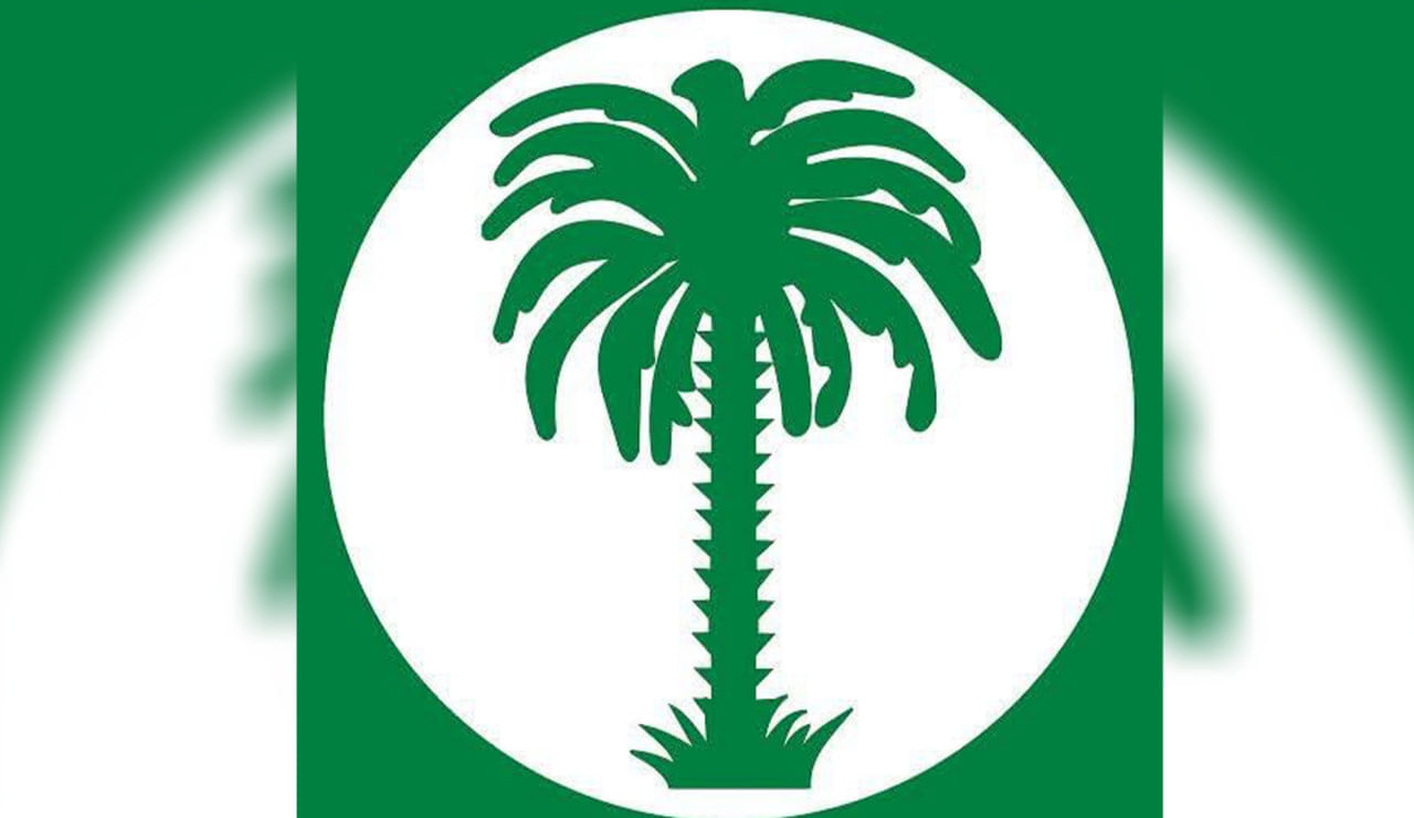 صورة المقال