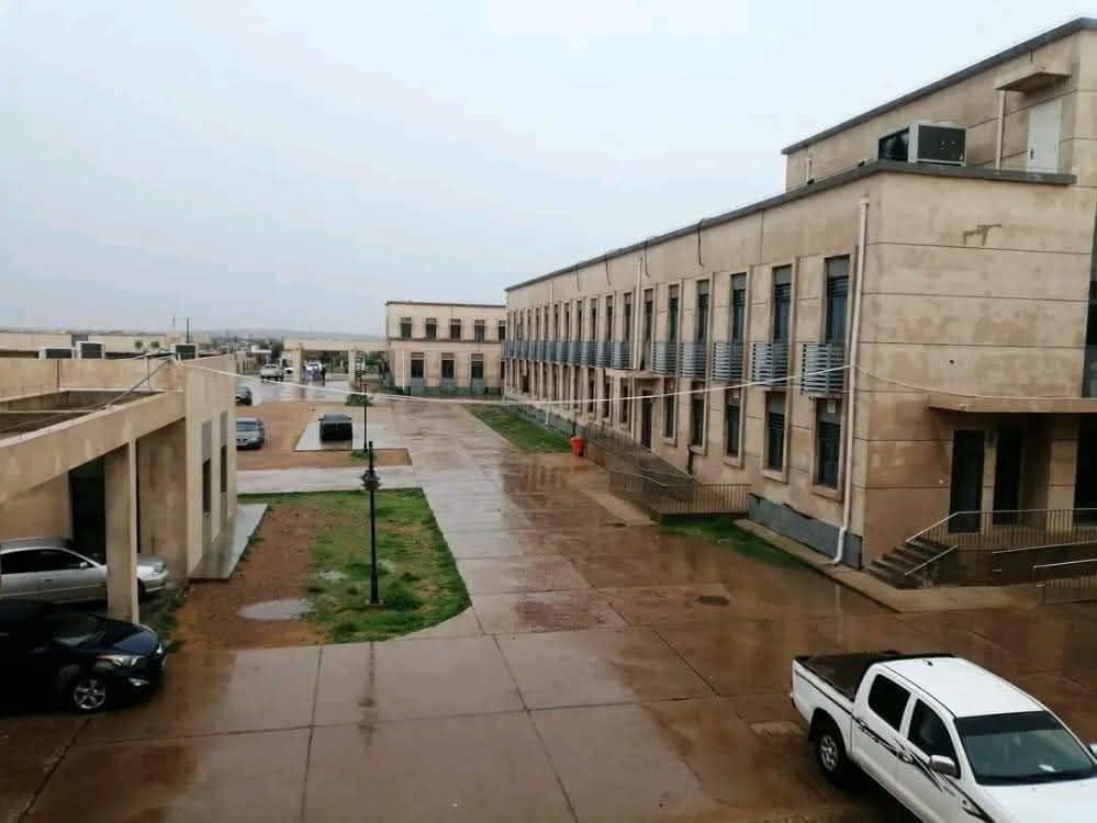 صورة المقال