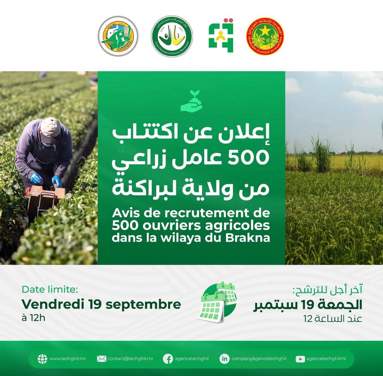 الصورة الرئيسية للمقال