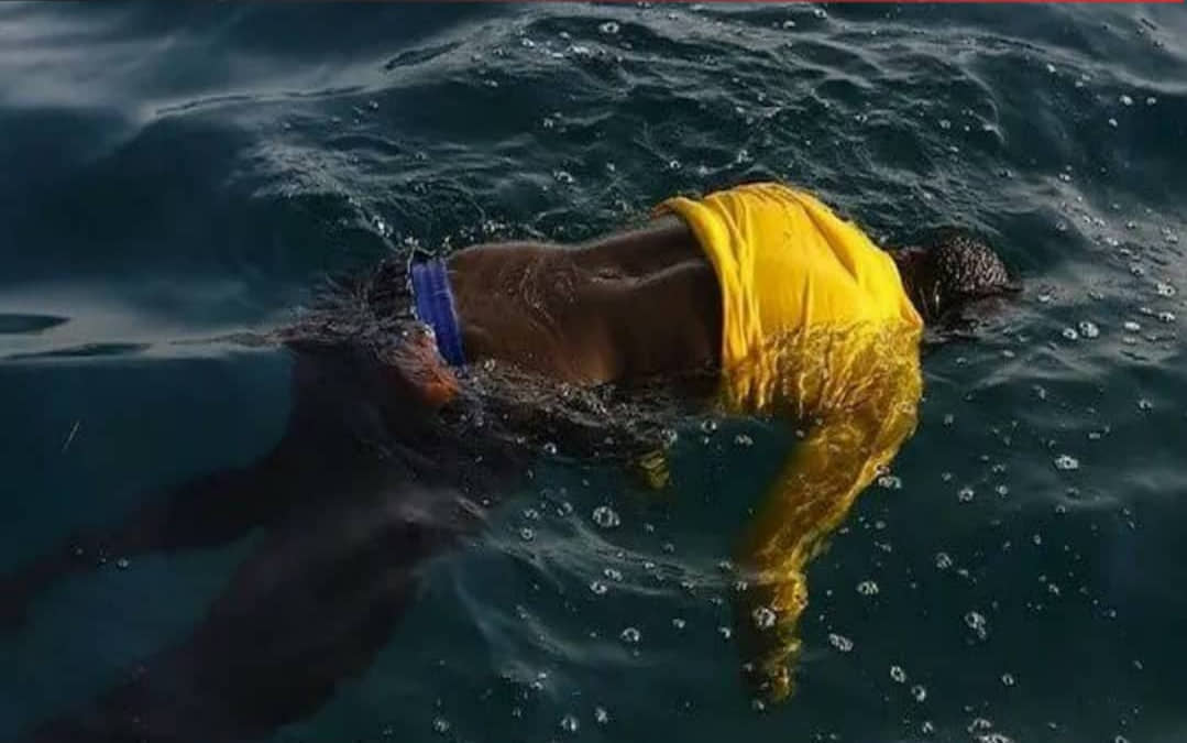 الصورة الرئيسية للمقال