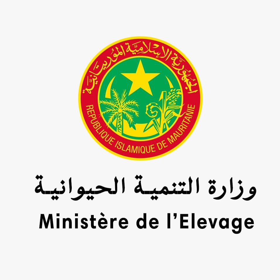 صورة المقال