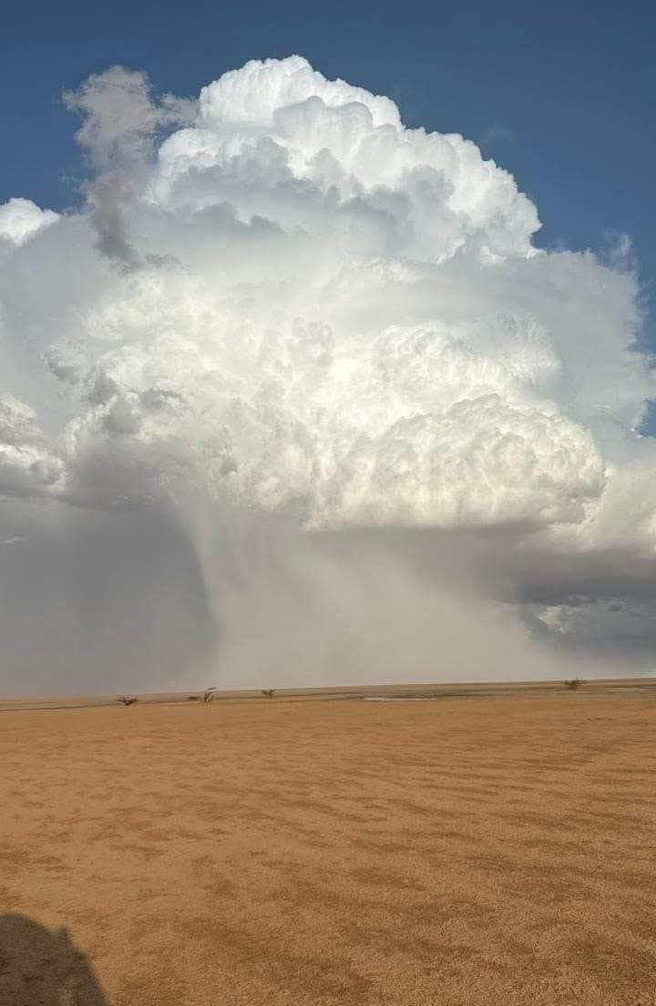 صورة المقال