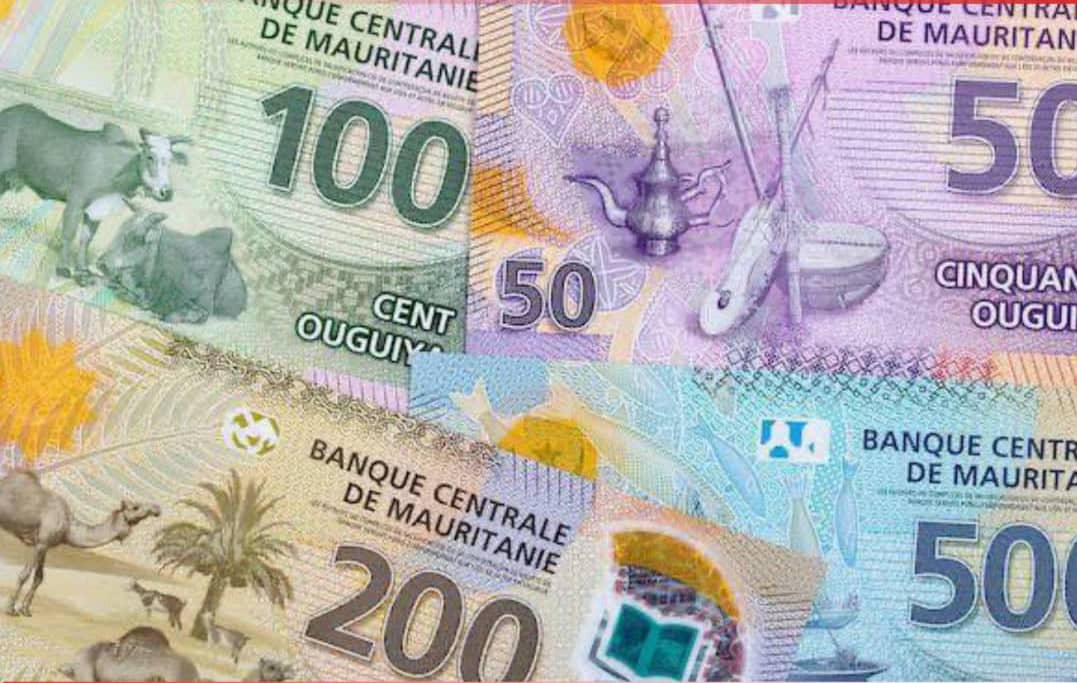 الصورة الرئيسية للمقال