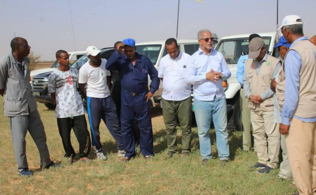 الصورة الرئيسية للمقال