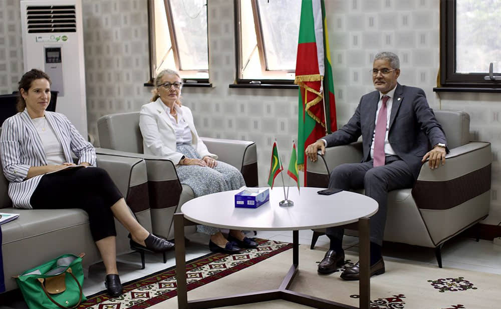 الصورة الرئيسية للمقال