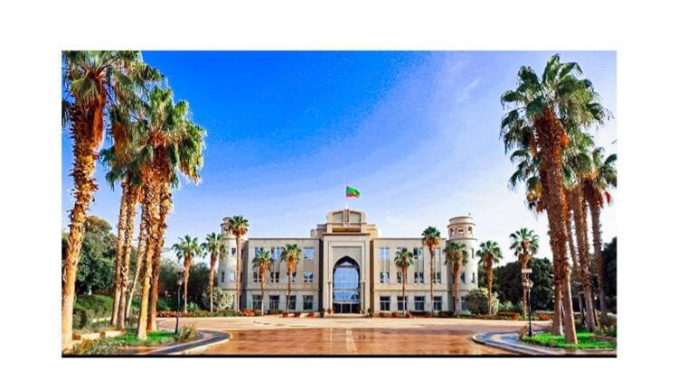 صورة المقال
