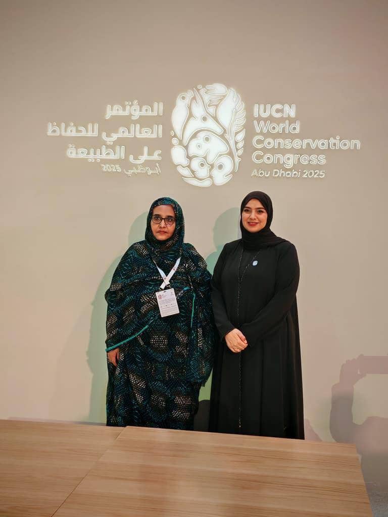 الصورة الرئيسية للمقال