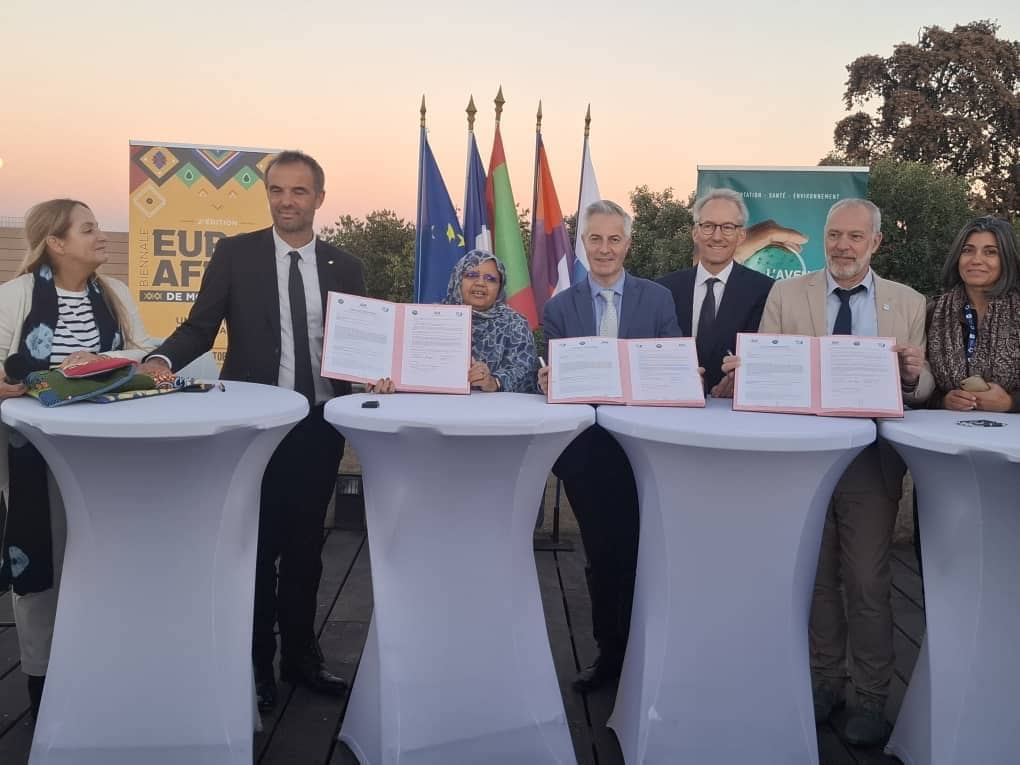 الصورة الرئيسية للمقال