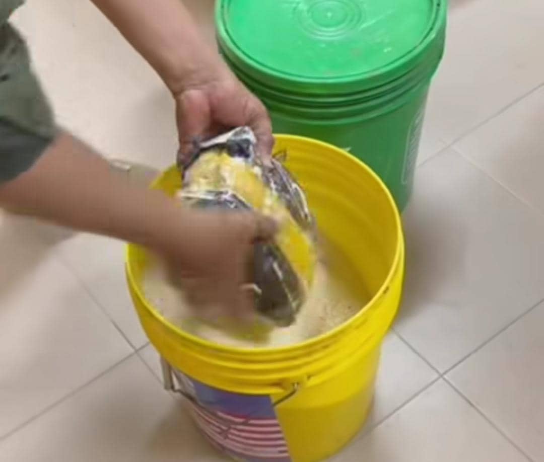 الصورة الرئيسية للمقال