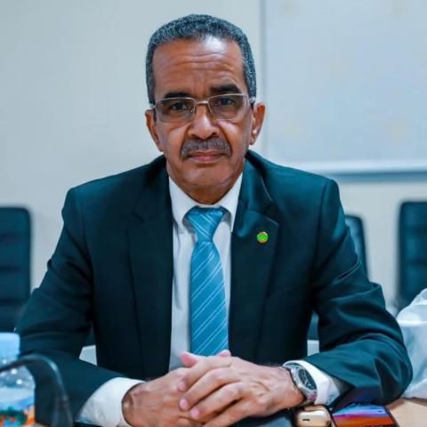 صورة المقال
