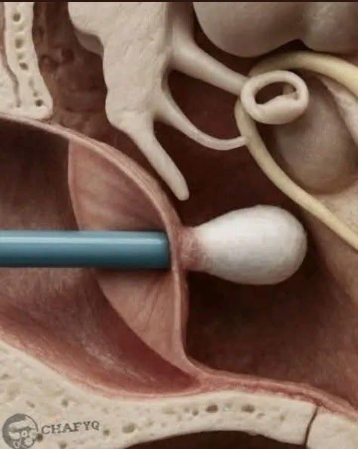 الصورة الرئيسية للمقال