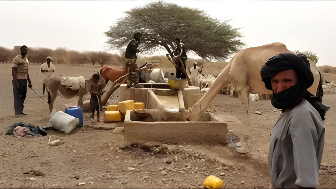 صورة المقال