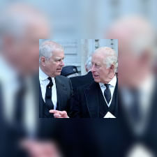 صورة المقال