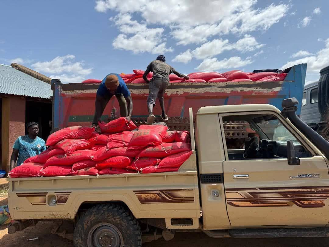 الصورة الرئيسية للمقال