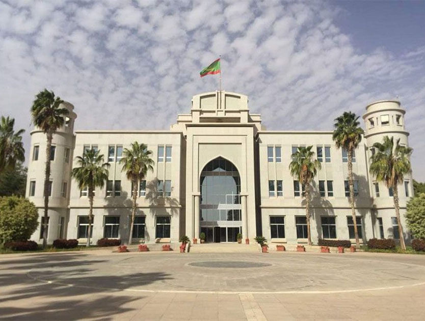 صورة المقال