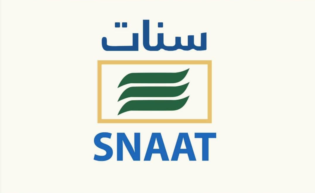 الصورة الرئيسية للمقال