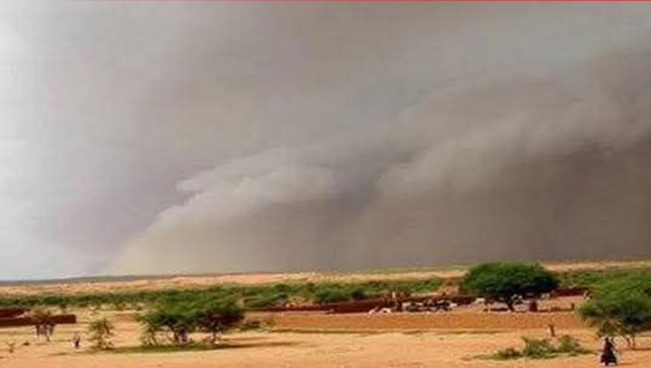 صورة المقال
