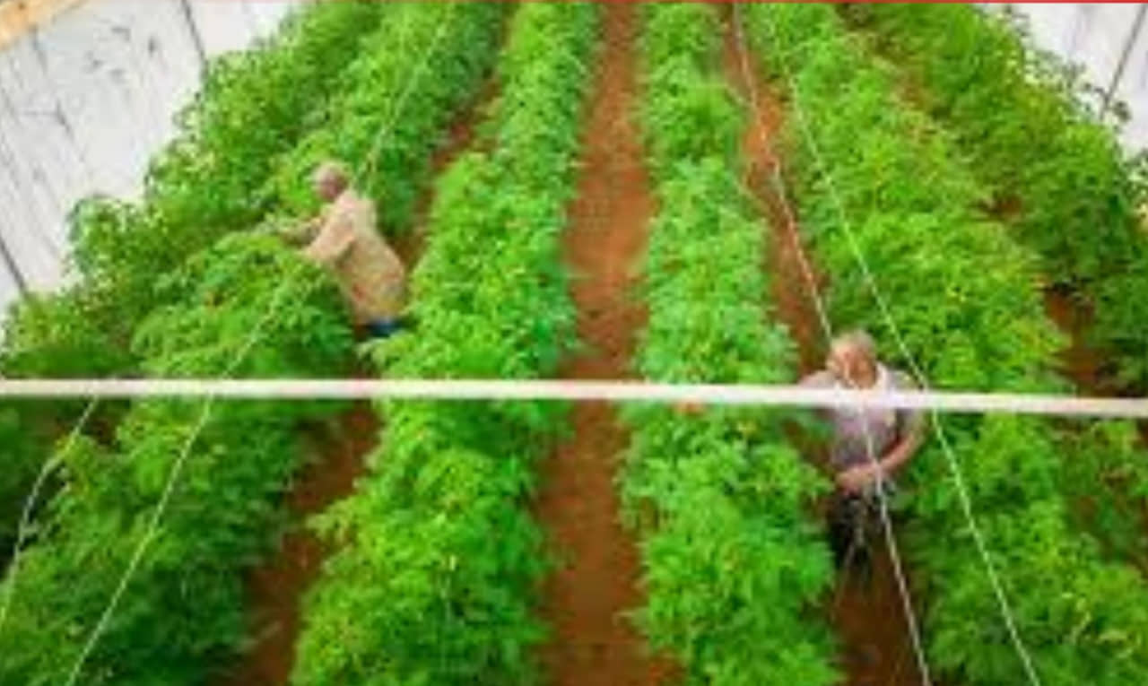 الصورة الرئيسية للمقال