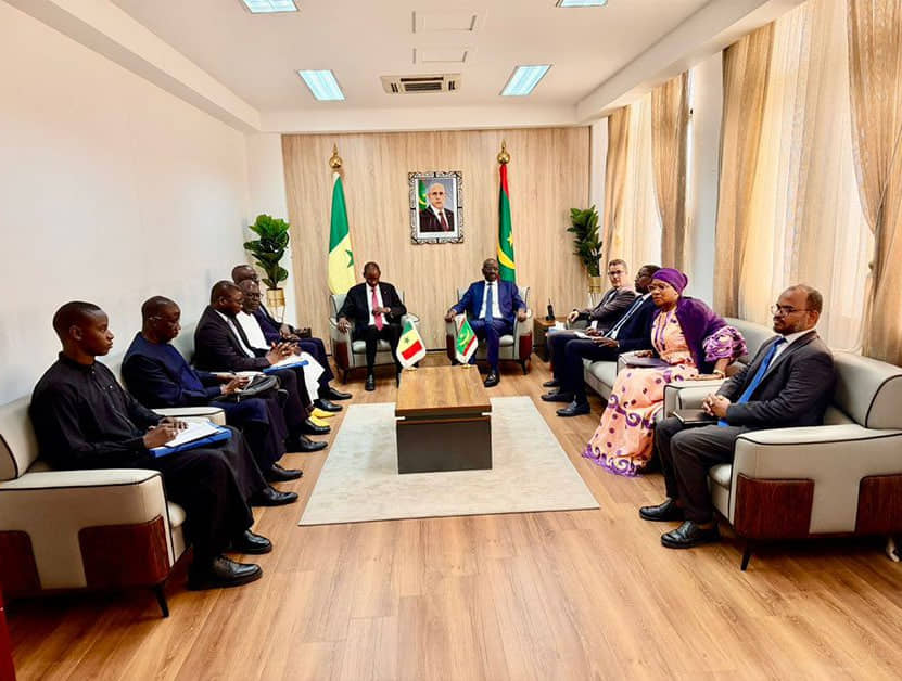 الصورة الرئيسية للمقال