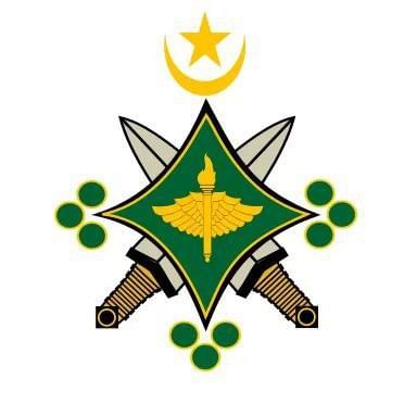 صورة المقال