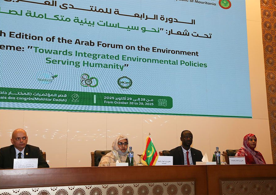 صورة المقال