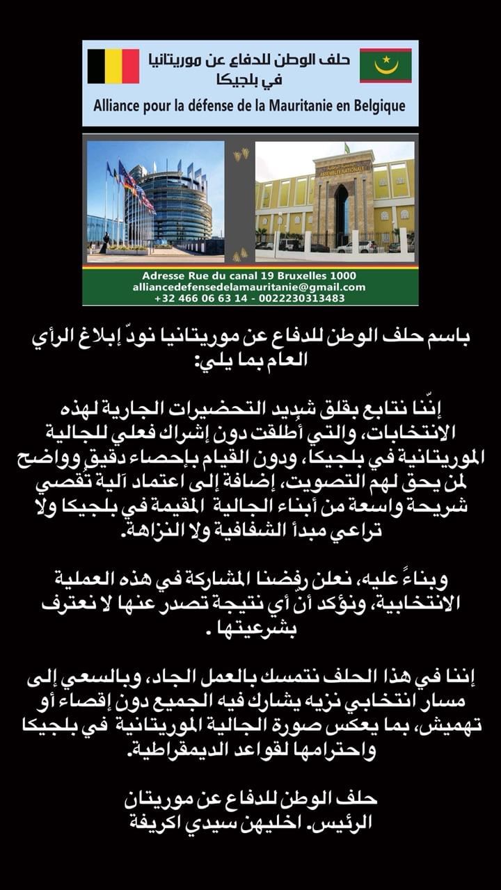 صورة المقال