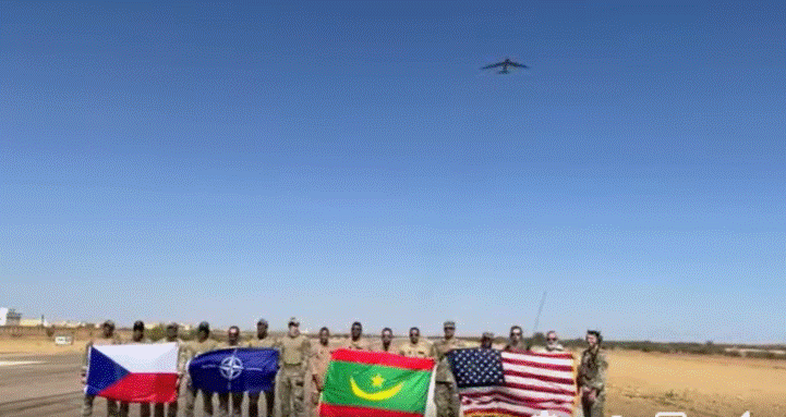 صورة المقال