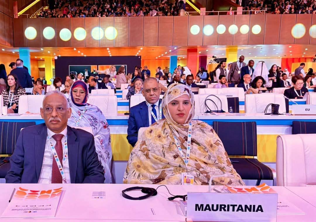 الصورة الرئيسية للمقال