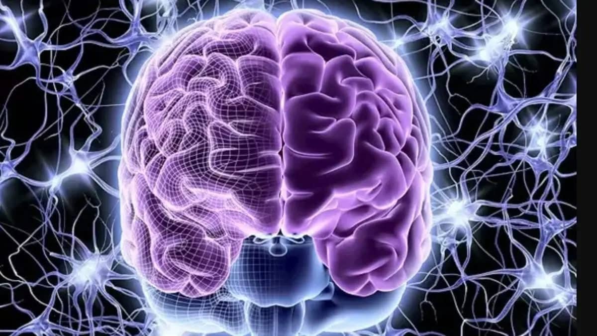 الصورة الرئيسية للمقال