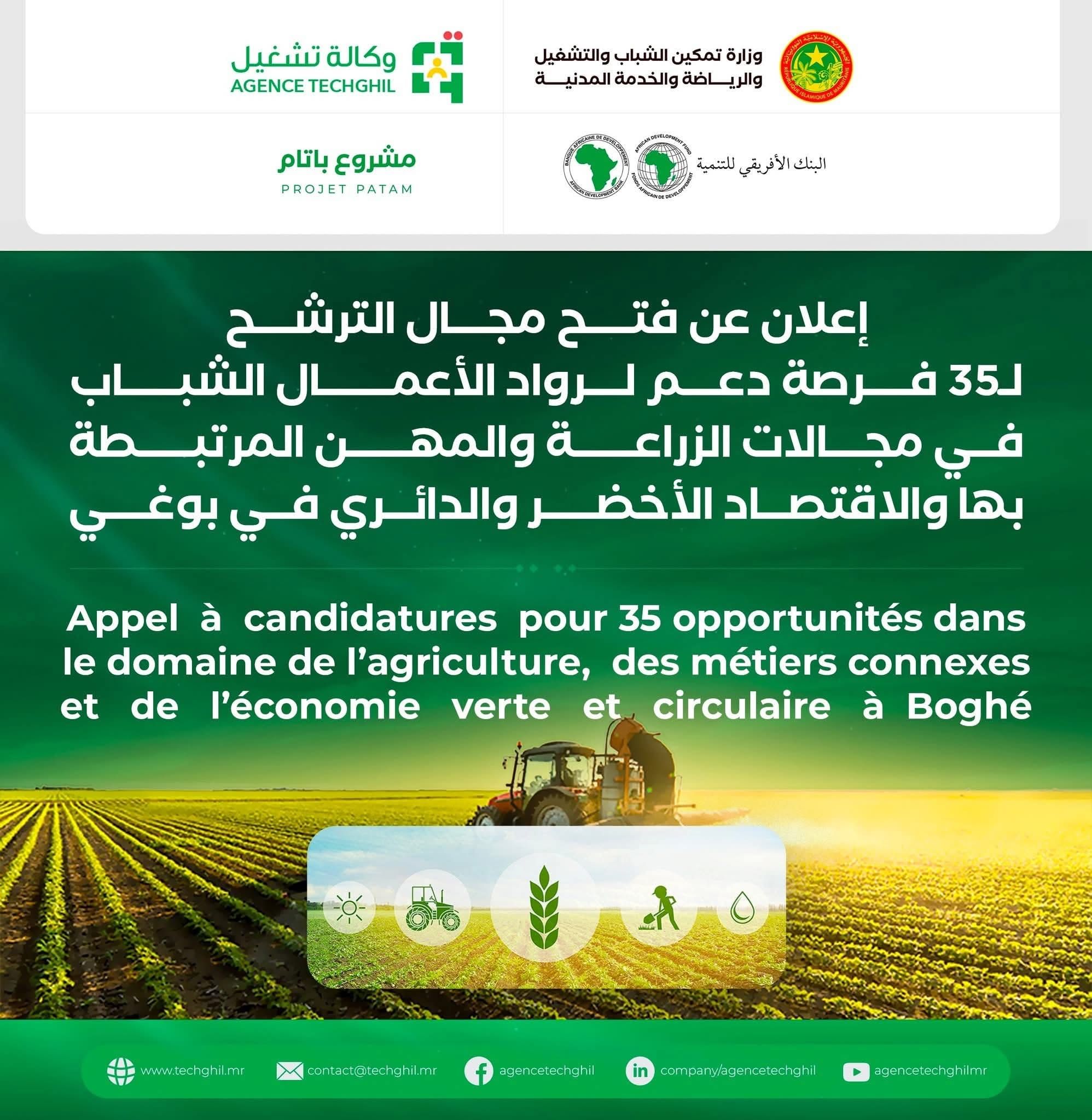 صورة المقال