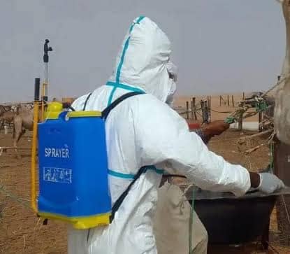 الصورة الرئيسية للمقال