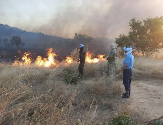 الصورة الرئيسية للمقال