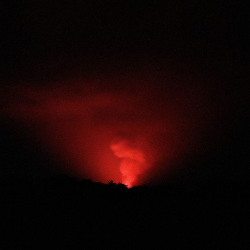 صورة المقال