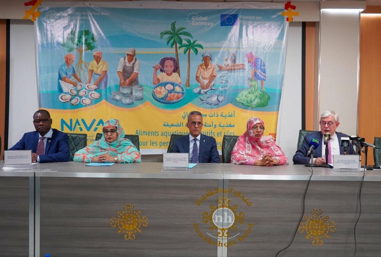 صورة المقال