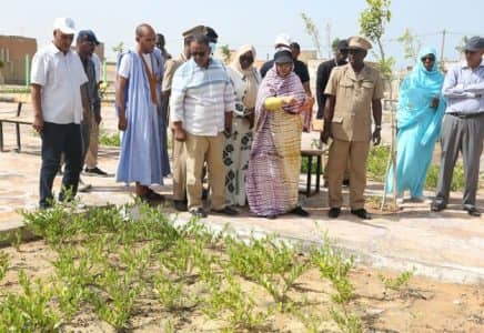 الصورة الرئيسية للمقال