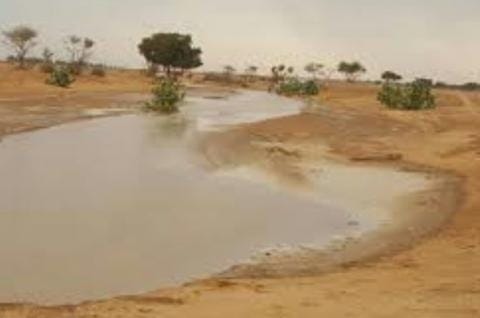 صورة المقال