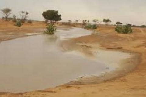 الصورة الرئيسية للمقال