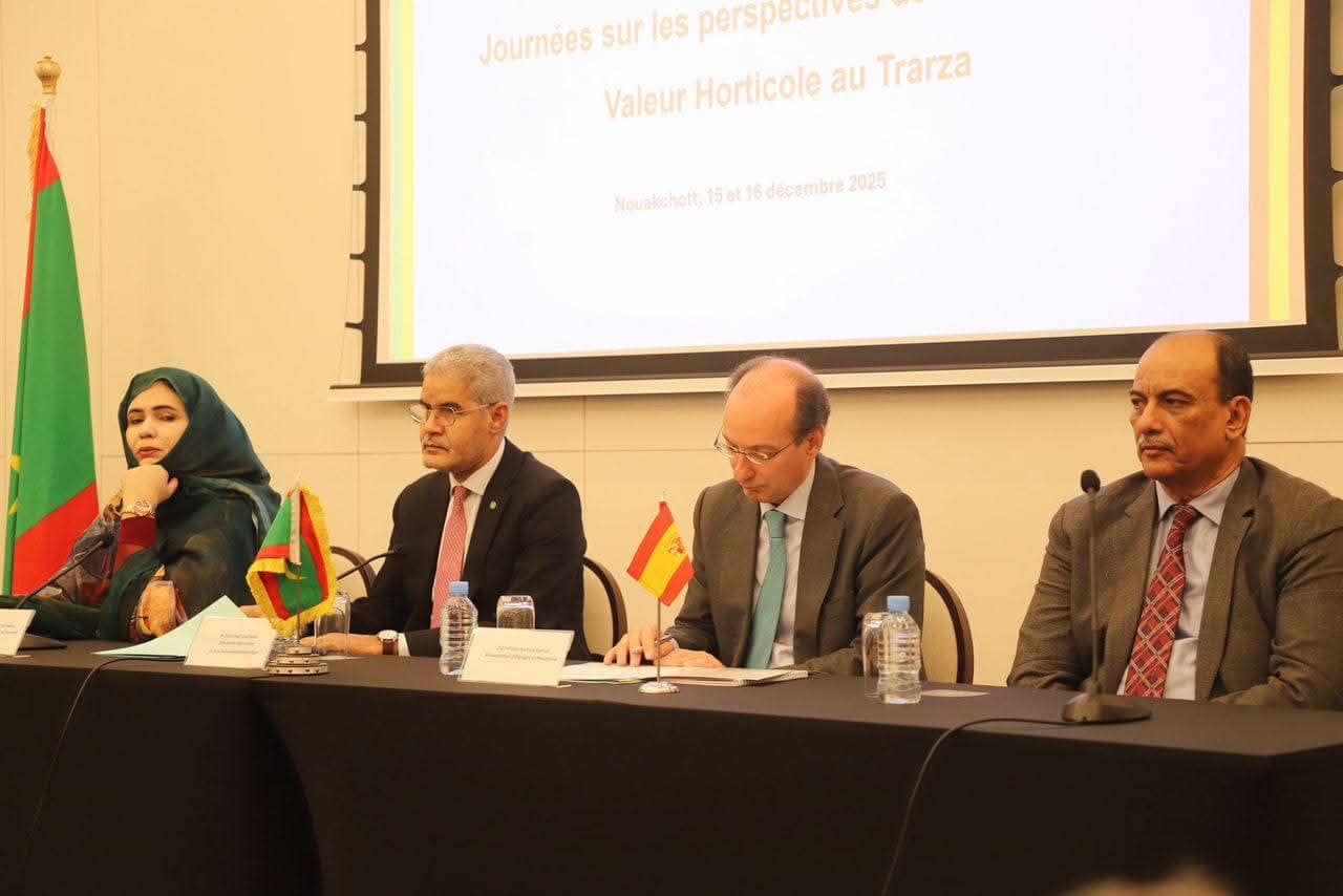 الصورة الرئيسية للمقال