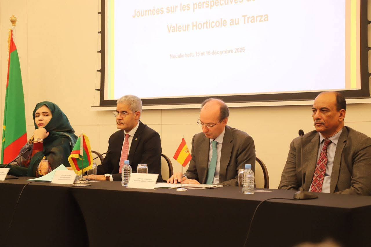 صورة المقال