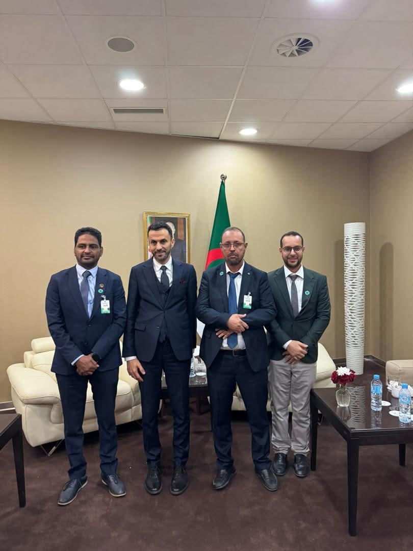 صورة المقال